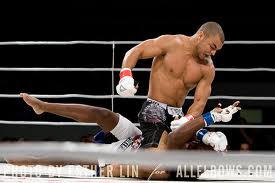 bellator karl amoussou video
