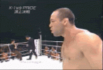 Wanderlei silva