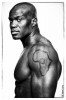 Cheick Kongo MMA